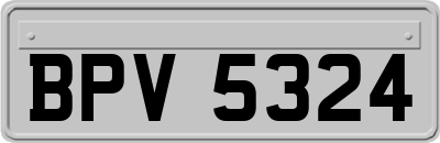 BPV5324