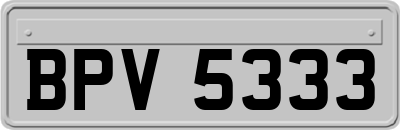 BPV5333