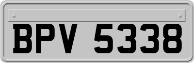 BPV5338