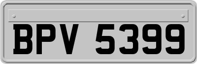 BPV5399