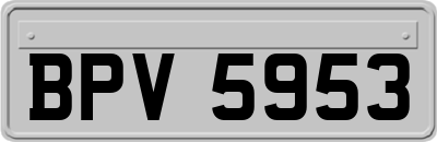 BPV5953