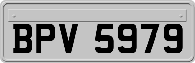 BPV5979