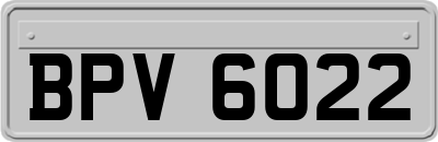 BPV6022