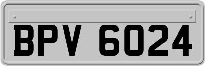 BPV6024