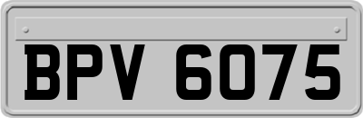 BPV6075