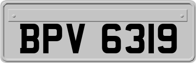 BPV6319