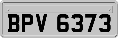 BPV6373