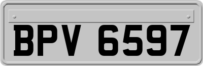 BPV6597