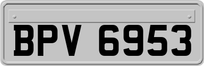 BPV6953