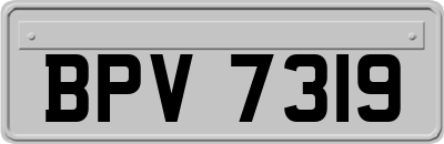 BPV7319