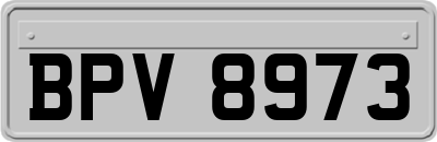 BPV8973
