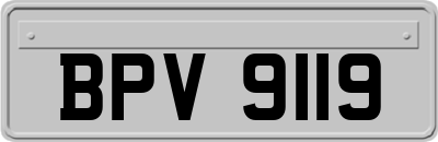 BPV9119