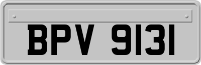 BPV9131