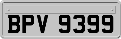 BPV9399