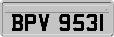 BPV9531