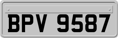 BPV9587
