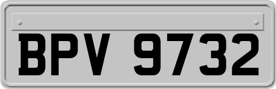 BPV9732