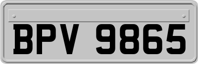 BPV9865
