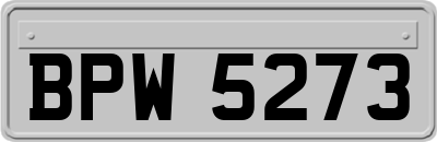 BPW5273
