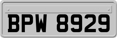 BPW8929