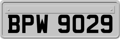 BPW9029