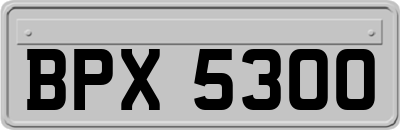 BPX5300