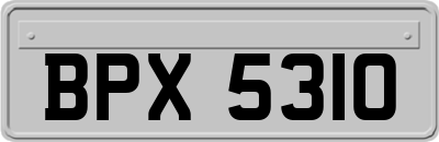BPX5310