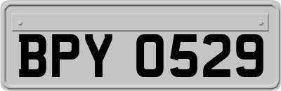 BPY0529