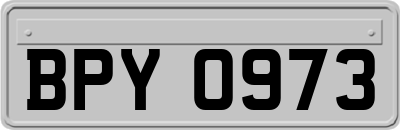BPY0973