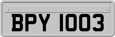 BPY1003