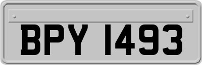 BPY1493
