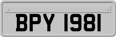 BPY1981