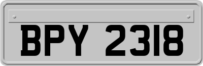 BPY2318