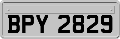BPY2829