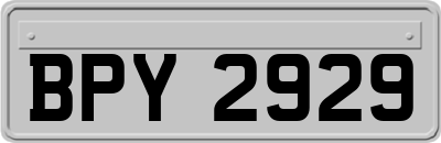 BPY2929