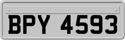 BPY4593