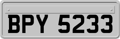 BPY5233