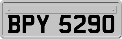 BPY5290