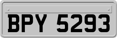 BPY5293