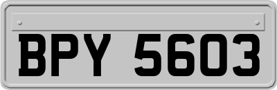 BPY5603