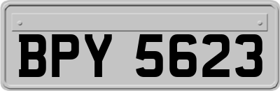 BPY5623