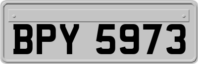 BPY5973