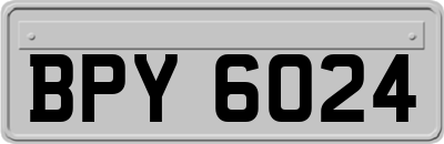 BPY6024