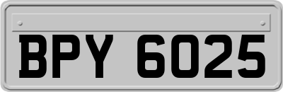 BPY6025