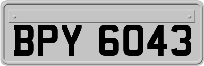 BPY6043