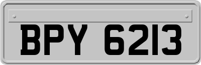 BPY6213