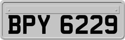 BPY6229