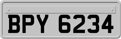 BPY6234