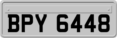 BPY6448