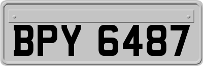 BPY6487